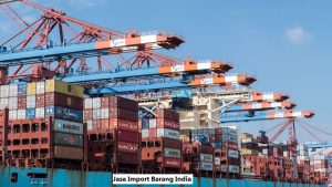 Jasa Import Barang India